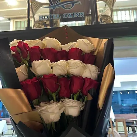 Oxinn ホテル 3*